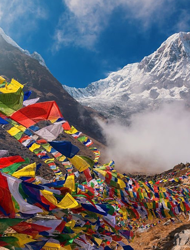 रिलायंस जियो इन्फोकॉम लिमिटेड द्वारा कांगड़ा (हिमाचल प्रदेश) में उपभोक्ता शिक्षा कार्यशाला